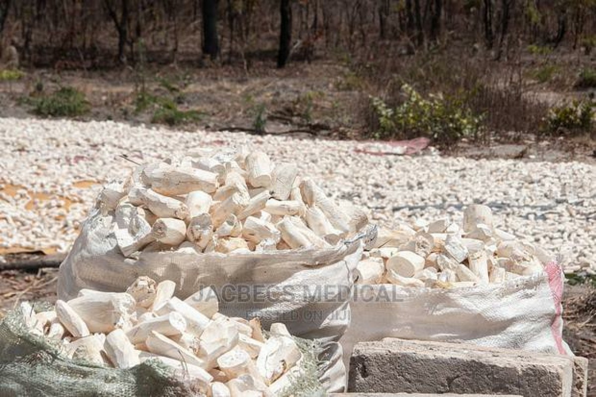 Cassava from Uganda